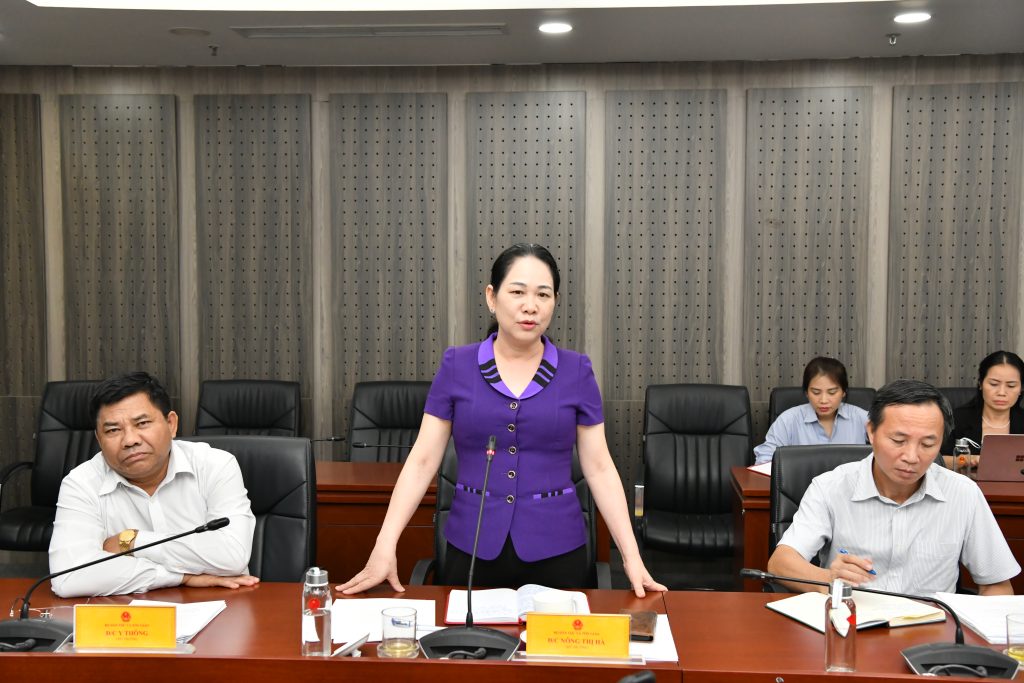 Thứ trưởng Nông Thị Hà phát biểu