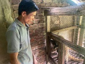 Ông Lê Văn Phúc đẩy mạnh phát triển kinh tế gia đình từ sự hỗ trợ về cây giống, con giống và hệ thống tưới tiêu (Ảnh H.Trường)