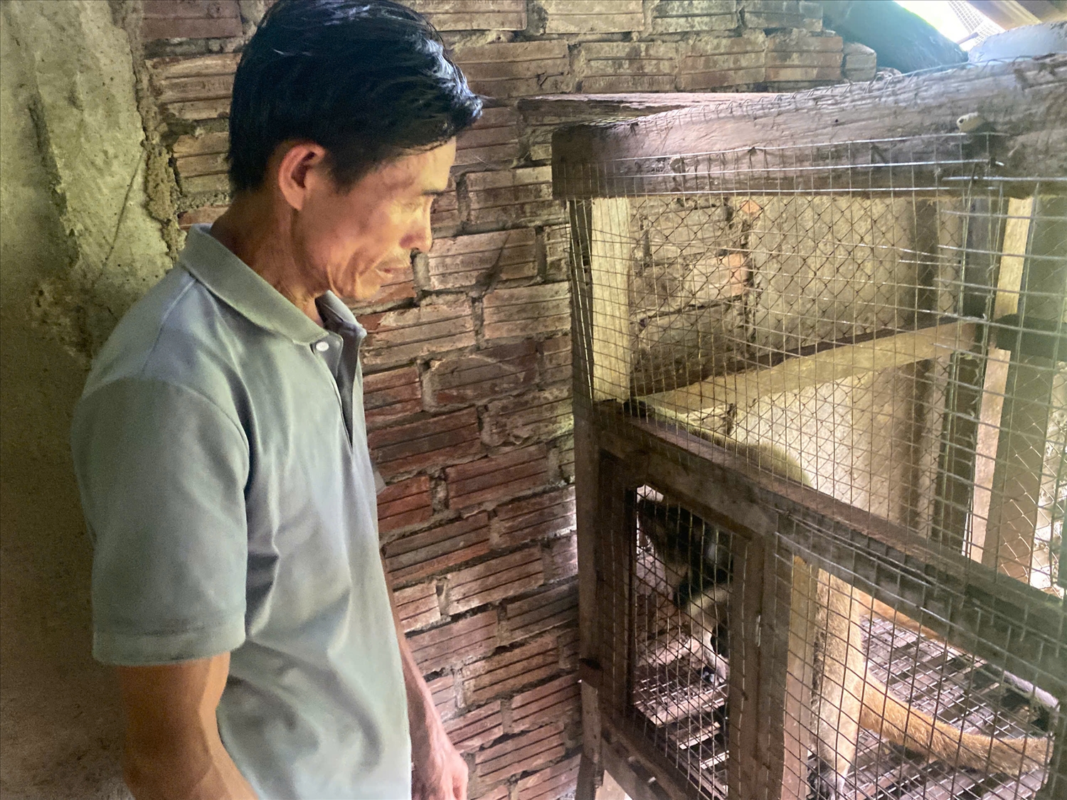 Ông Lê Văn Phúc đẩy mạnh phát triển kinh tế gia đình từ sự hỗ trợ về cây giống, con giống và hệ thống tưới tiêu (Ảnh H.Trường)