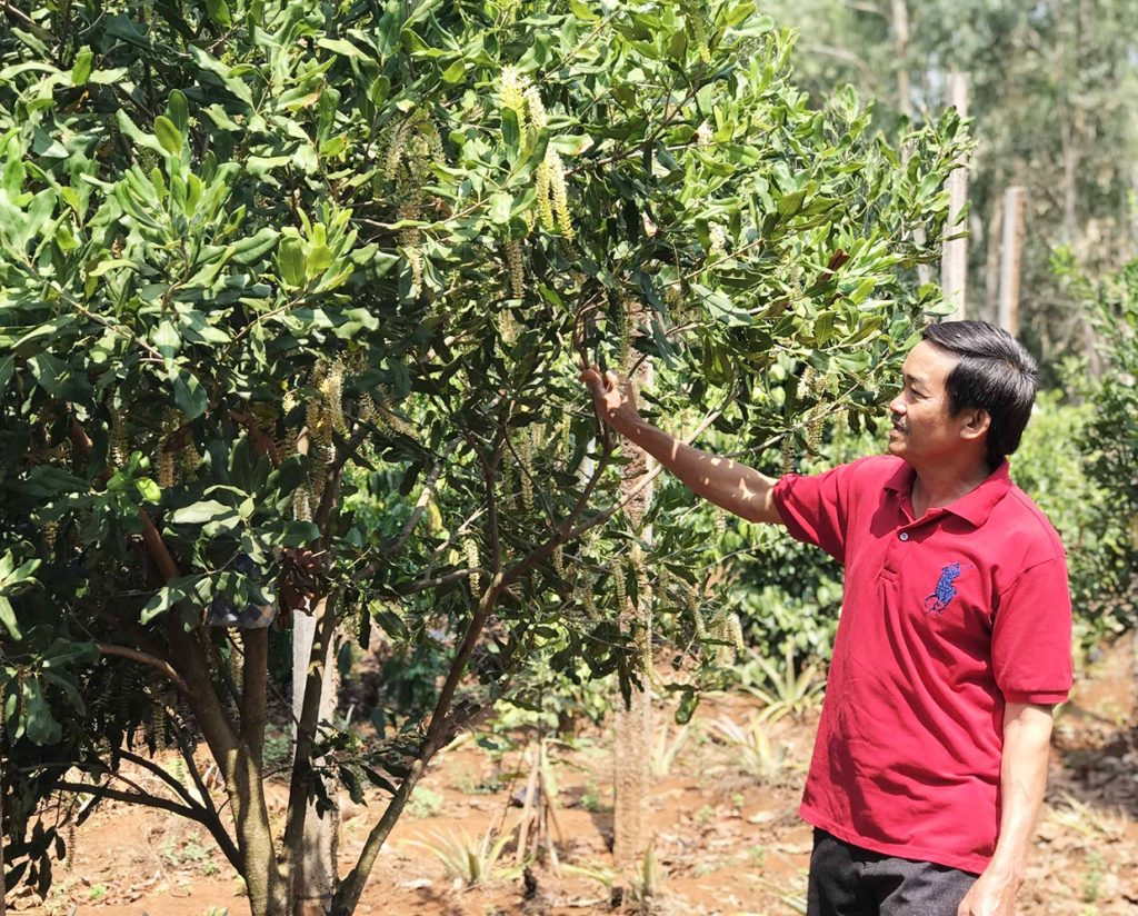 Xã Gào tập trung phát triển các vườn cây ăn quả, các mô hình sản xuất nông nghiệp công nghệ cao